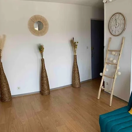 公寓 Superbe En Plein Centre,parking Prive *